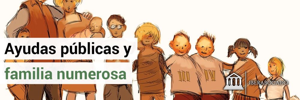 Ayuda por hijo a cargo en familia numerosa